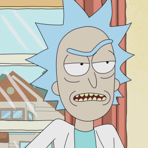 Citadel of Ricks